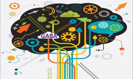 What does GABA supplement do?