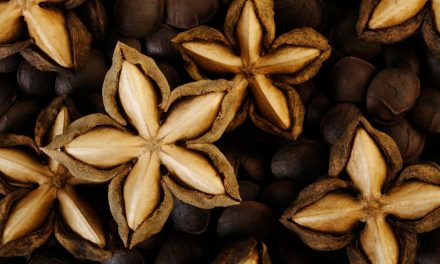 What is Sacha Inchi? Is ina peanut oil effective for eczema?