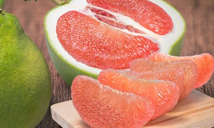 What is tree melon? Where does it grow?