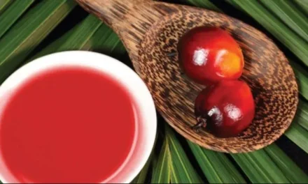 What is Red Palm Oil? How is it applied to hair?