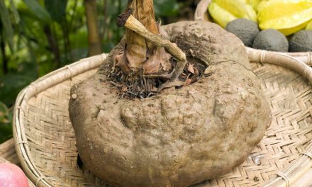 What is Glucomannan? Does it weaken? What does it do?