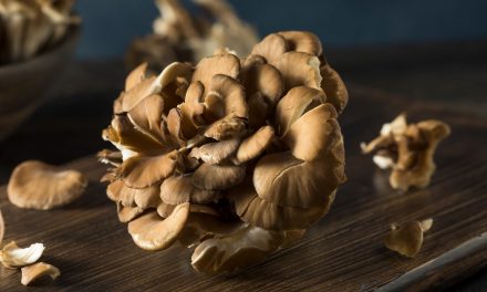 What are the benefits of Maitake mushrooms? Maitake mushroom extract
