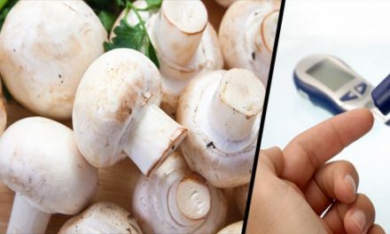 Can diabetes patients eat mushrooms?