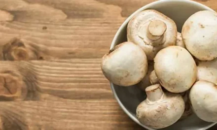 What is button mushroom? Is it eaten? Benefits