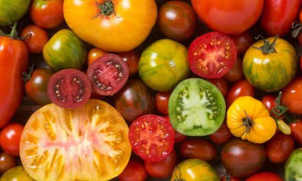 What are the benefits of lycopene skin? What is Lycopene?