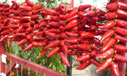 How is the taste of the pepper in espelet? What are the features?