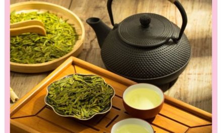 WHAT IS SENCHA STAF? Features & Benefits