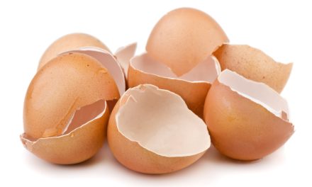 What are the benefits of egg shell membrane?
