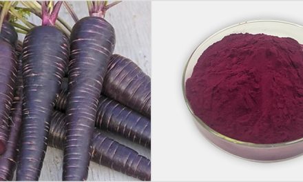 Where is purple carrot powder used? How to make?