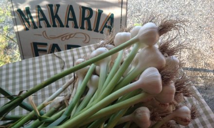 Fresh Garlic Recipes: Where is it used?