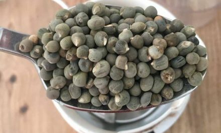 How to use okra seed? What are the benefits?
