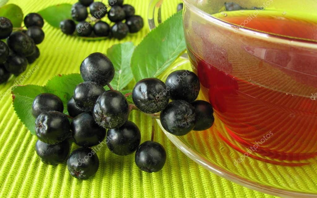 What are the benefits of Aronia? How to use?