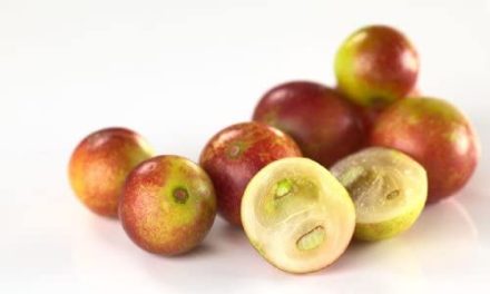 Camu Camu Fruit: Tropical flavor full of vitamin C