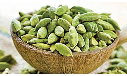How to use cardamom? Which dishes are used?