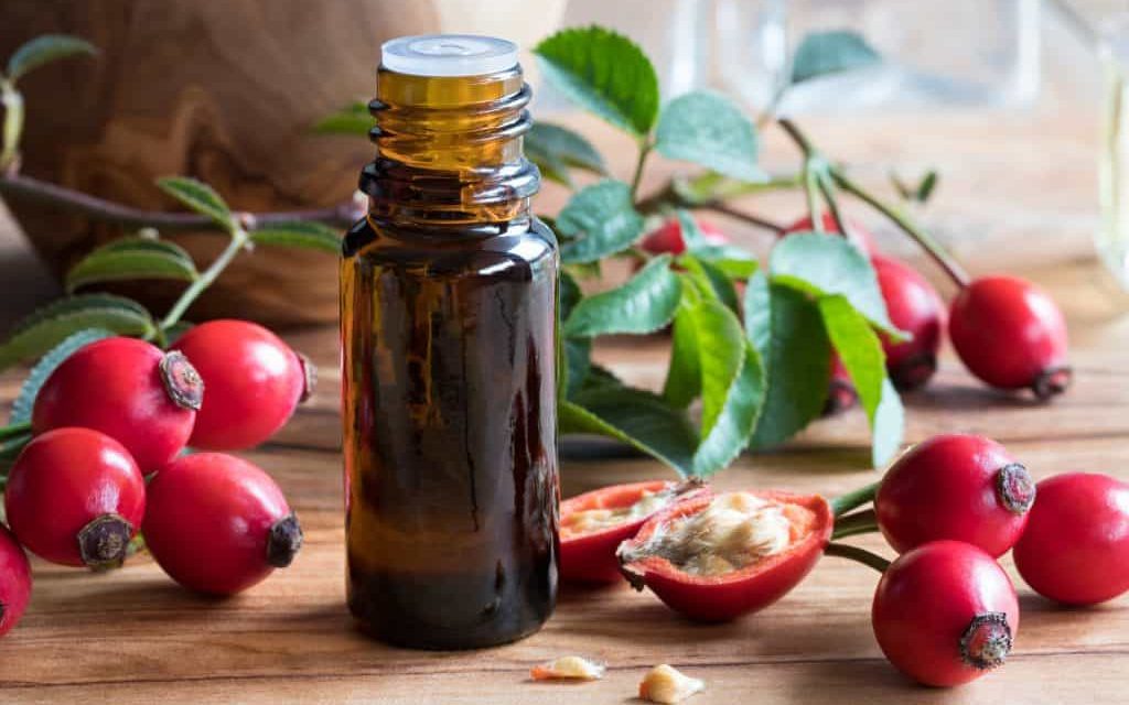 What are the benefits of rosehip seed oil? How to make?