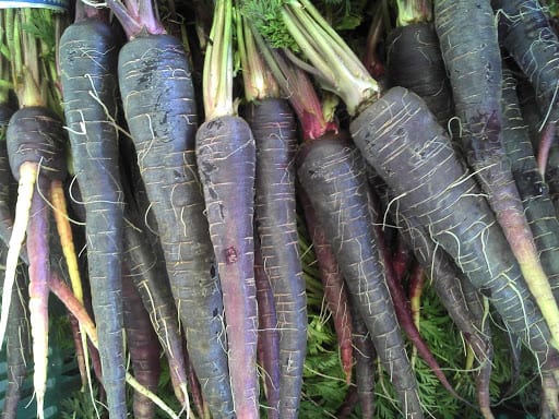 Black Carrot Miracle: The season has arrived!
