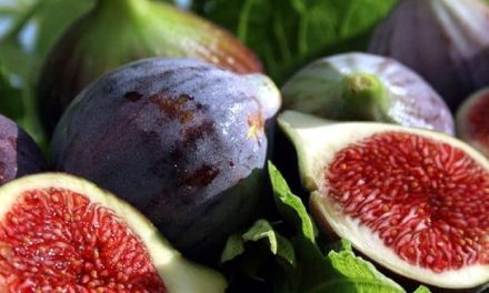 What are the benefits of fig seed oil? How to make?