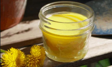 Dandelion Ointment Recipe: What are the benefits of skin?