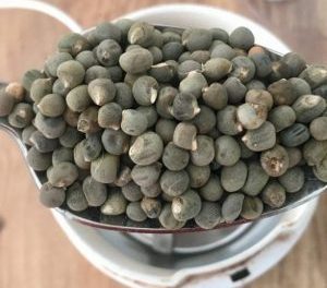 How to Use Okra Seed? What are the Benefits?