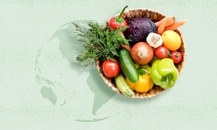 What is a sustainable diet? Sustainable Diet List