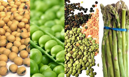 High protein vegetables & high -protein fruits